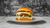 Vegetar Burger